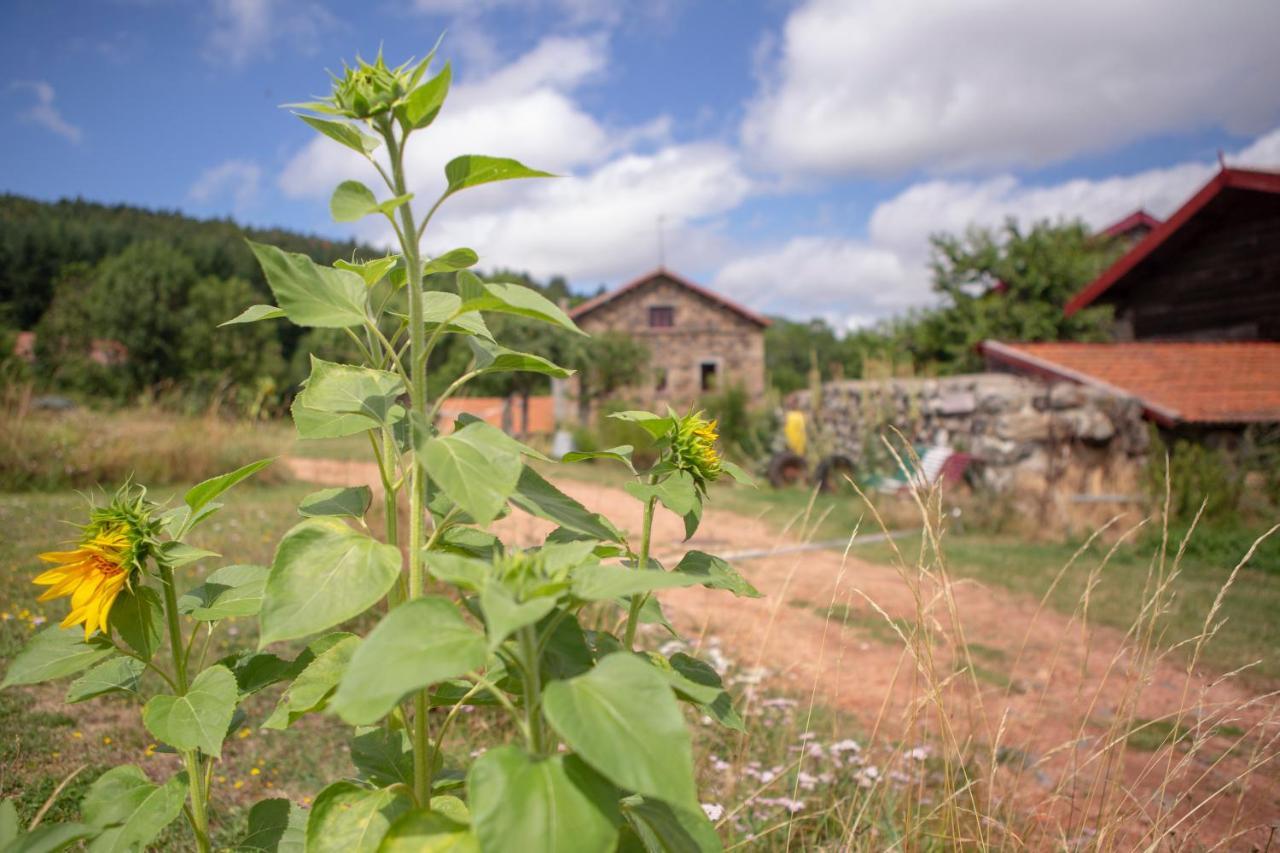 Le Marconnes Bed and Breakfast Saint-Arcons-de-Barges Buitenkant foto