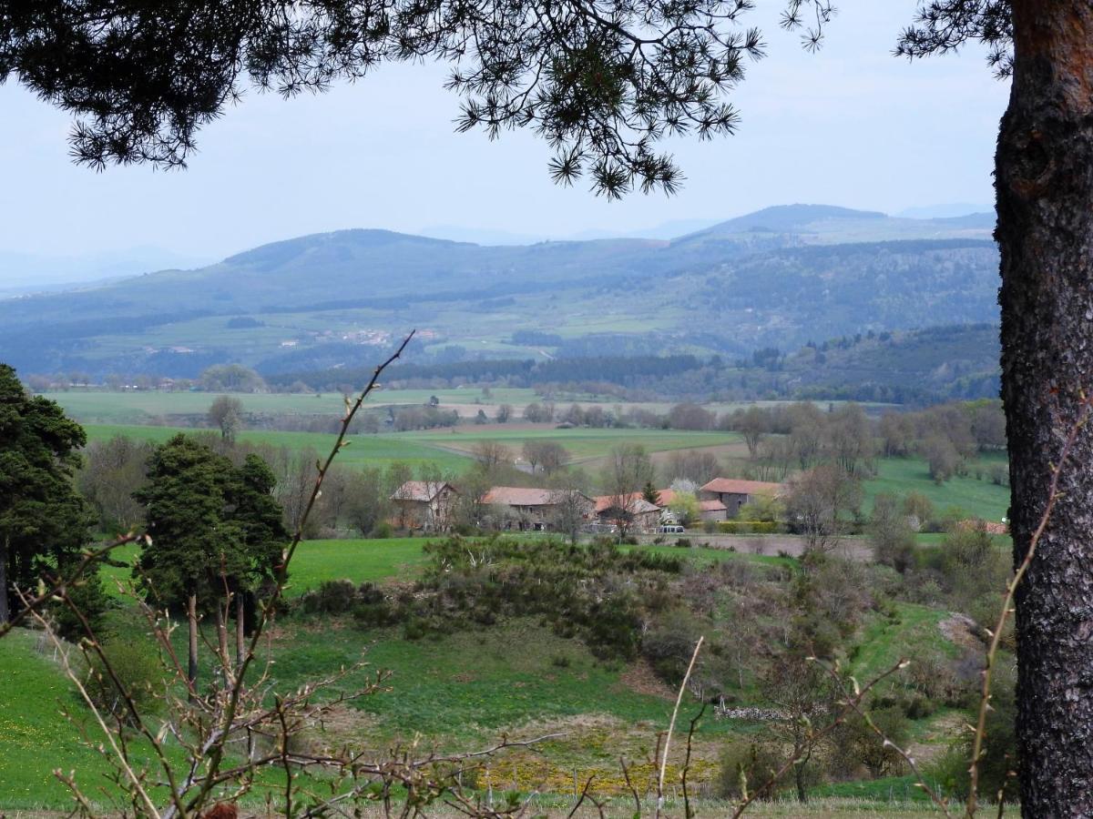 Le Marconnes Bed and Breakfast Saint-Arcons-de-Barges Buitenkant foto