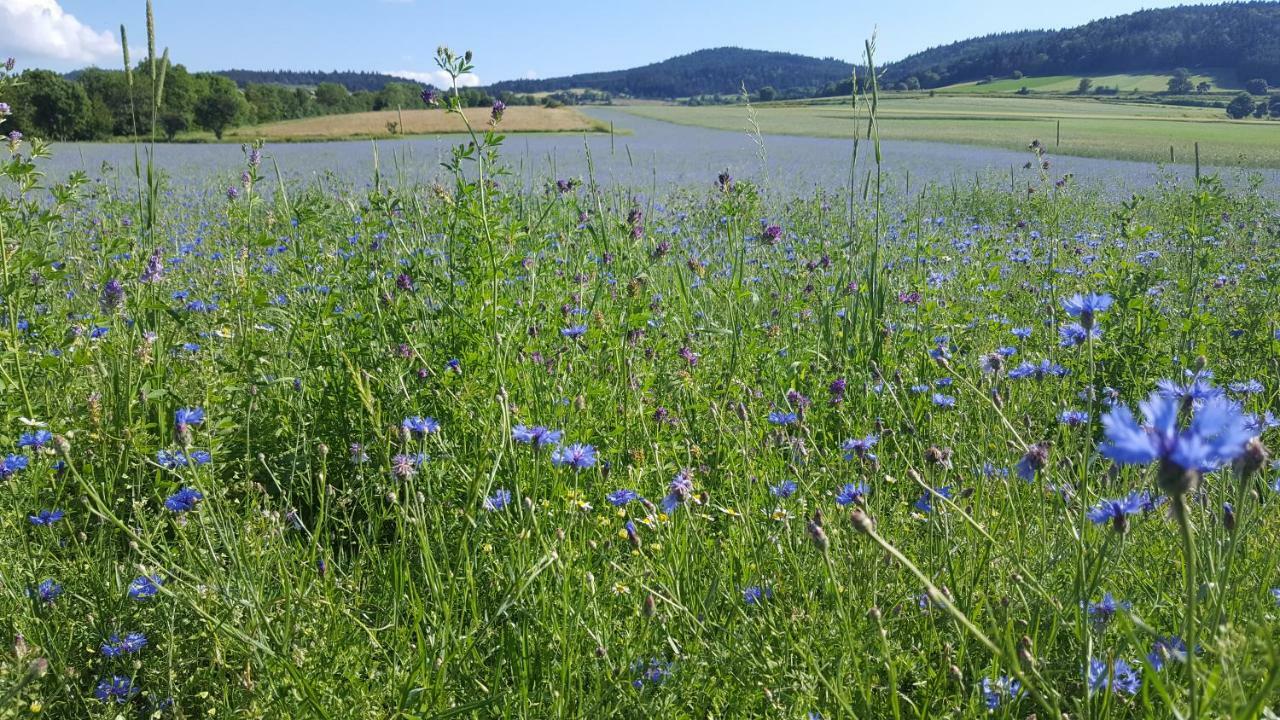 Le Marconnes Bed and Breakfast Saint-Arcons-de-Barges Buitenkant foto